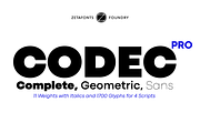 Codec Pro 22 fonts + 1 variable, a Sans Serif Font by Zetafonts (Thumbnail 1 of 16)