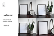 Frame Mockup Bundle - Solanum, a Household Mockup by Saguaro Digital (Thumbnail 1 of 9)