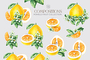Pomelo Fruit Watercolor Collection, a Food Illustration by SashaKondr (Thumbnail 9 of 13)