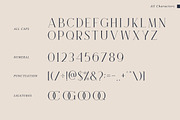 Brooke Minimalist Serif Font, a Serif Font by Heinzel Std (Thumbnail 11 of 13)