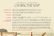 Premint Regular Stylish Serif Font, a Serif Font by Vampstudio (Thumbnail 13 of 13)