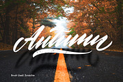 Procreate Lettering Brush Pack 1, a Brush Add-On by Cynlop Ink (Thumbnail 8 of 10)