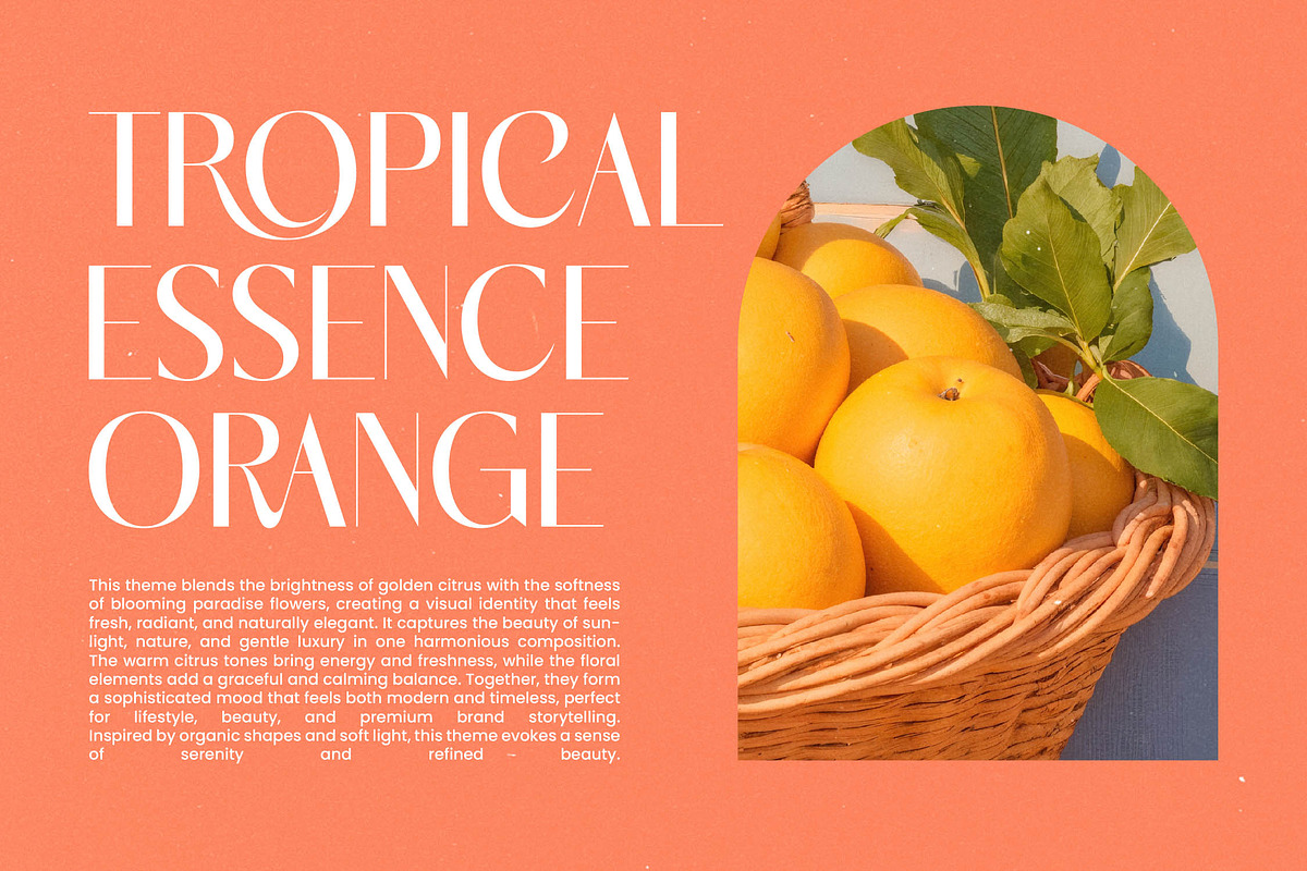 Marogis Elegant Sans Serif Font, a Sans Serif Font by timelesstype.co (Photo 11 of 20)