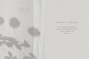 Dappled - Botanical Shadow Overlays, a Texture Graphic by alonahaidash (Thumbnail 9 of 16)