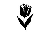 Floral Ornament Silhouette Bundle, an Illustration by BIPLOB EXPERT (Thumbnail 51 of 51)