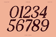 CS Quiles Stamp, a Serif Font by Craft Supply Co. (Thumbnail 5 of 8)