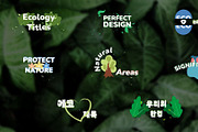 Ecology Titles for DaVinci Resolve, a Templates & Theme by 2dfx (Thumbnail 1 of 2)