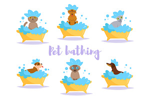 Pet Bath