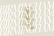 Fitzgerald - Classic Retro Serif, a Serif Font by Harmonais Visual (Thumbnail 15 of 31)