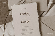 Raillouise Stylish Script Font, a Script Font by Heinzel Std (Thumbnail 14 of 16)