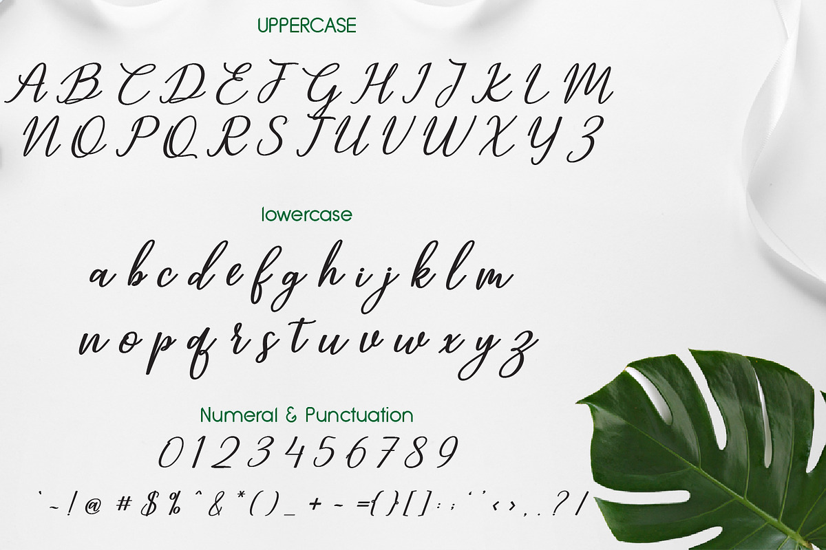 Ningaloo, a Handwritten Font by adelaide (Photo 2 of 4)