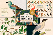 Vintage Bundle – 60% Off! – 21 Packs, an Object Graphic by The Object Atlas (Thumbnail 7 of 26)