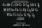 Ourstory, a Handwritten Font by FreshTypeINK (Thumbnail 3 of 8)