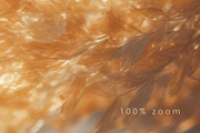Heart of Gold - 35 Backgrounds Pack, a Background Graphic by andromida (Thumbnail 5 of 5)