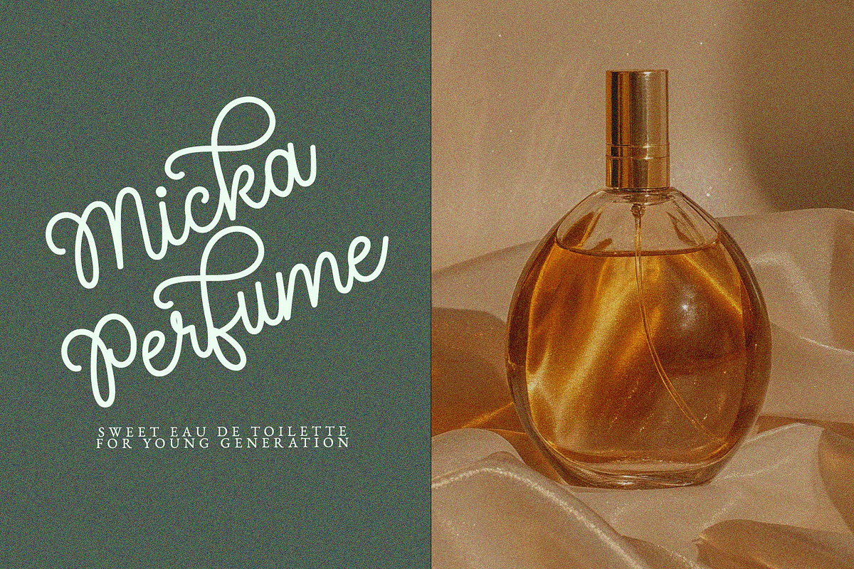 Nebraska Bridge - Monoline Cursive, a Script Font by Airotype (Photo 5 of 13)