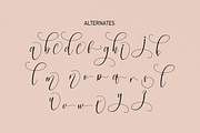 Belgian | Script Font, a Script Font by Scratchones (Thumbnail 7 of 8)