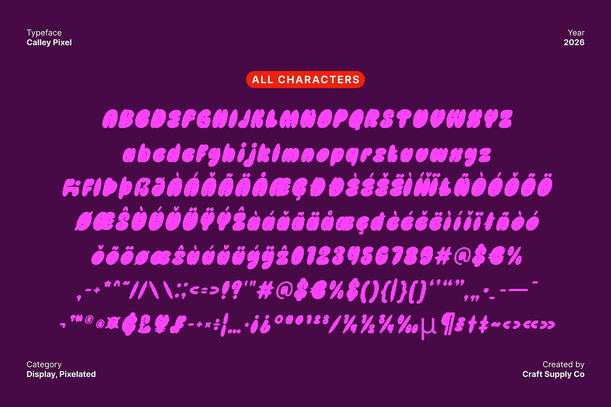 Calley Pixel, a Sans Serif Font by Craft Supply Co. (Photo 8 of 8)