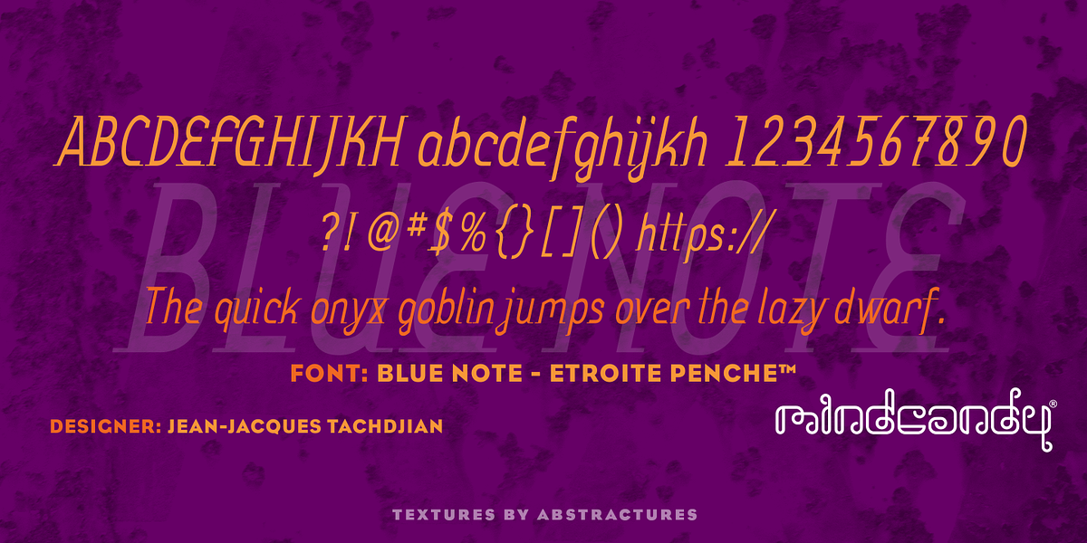 Blue Note™, a Serif Font by MINDCANDY (Photo 6 of 8)
