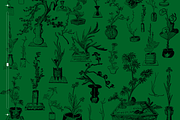 Ikebana Botanical Illustration Set, a Decorative Illustration by Nomad Visuals (Thumbnail 7 of 9)