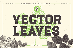 VECTOR LEAVES HAND DRAWN BUNDLE v20