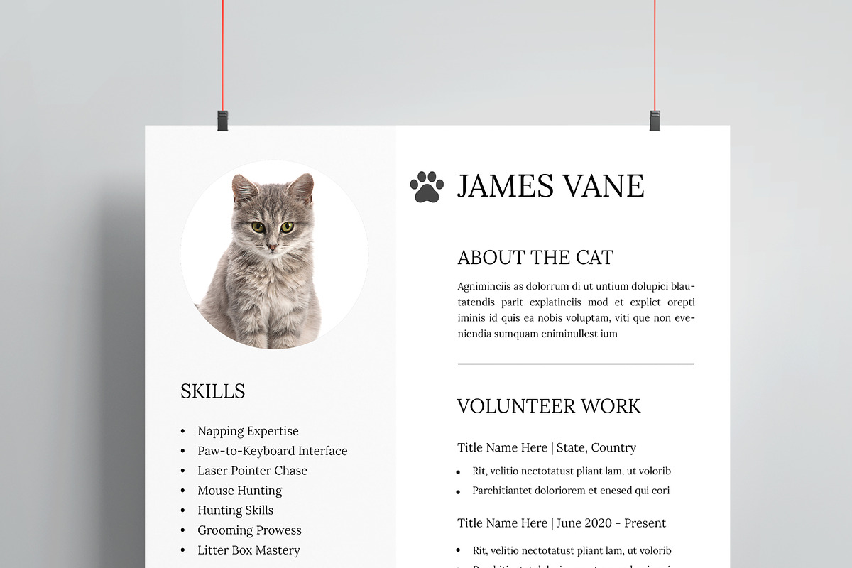 Cat Resume Template, a Resume Template by MightyDesign (Photo 4 of 8)