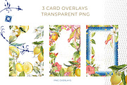 The Exotic Lemon Collection, an Object Illustration by Alisa Mikibith Art (Thumbnail 15 of 18)