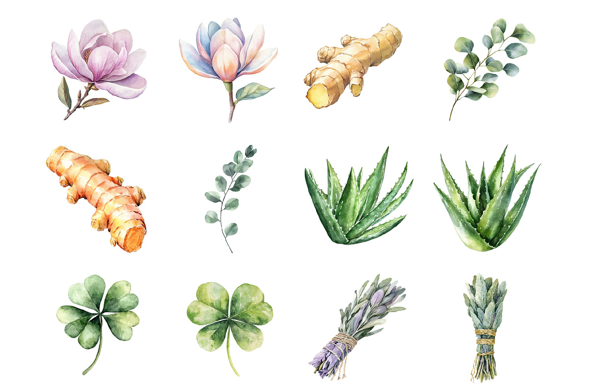 Botanical Wellness Watercolor, an Illustration by Design Market (Photo 2 of 3)