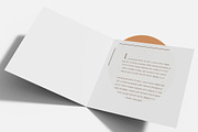 Trifold Brochure Mockup Bundle, a Books & Magazine Mockup by Mego-studio (Thumbnail 11 of 11)