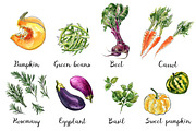 Food watercolor. Vegetables, a Food Illustration by irina.vaneeva (Thumbnail 11 of 25)