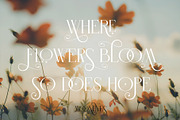 MOONEYES - Modern Serif, a Serif Font by erlosDESIGN (Thumbnail 15 of 15)
