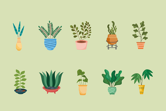 Potted Indoor Plants Vector Set