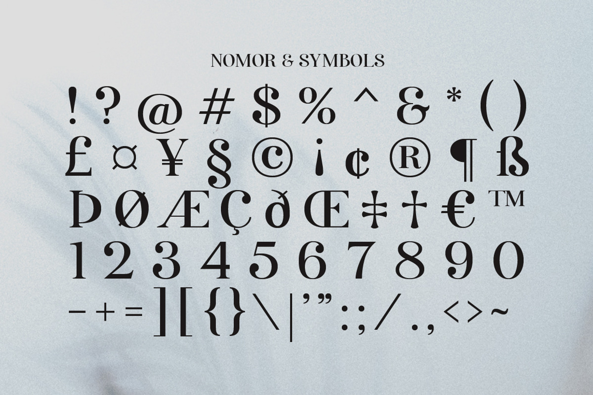 Rellita Display, a Serif Font by Gatype (Photo 11 of 11)
