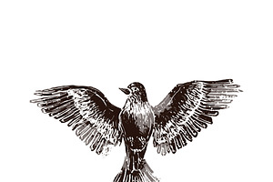 Flying proud bird in linocut style