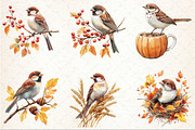 Autumn Sparrows Bird Clipart, an Illustration by Rose Art (Thumbnail 3 of 7)