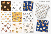 Cool Cats. Cliparts, Patterns, ABC., an Animal Illustration by DearLetters (Thumbnail 6 of 17)
