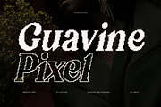Guavine Pixel, a Serif Font by Craft Supply Co. (Thumbnail 1 of 8)