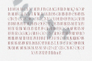Vagesha Rolenda - Fancy Serif, a Serif Font by Arterfak Project (Thumbnail 15 of 15)