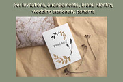 100 Floral Stamp brushes, an Illustration by Olga Brinza (Thumbnail 4 of 11)