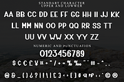 Active, a Script Font by FreshTypeINK (Thumbnail 3 of 8)