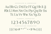 Slowdate - Beauty Elegant Ligature, a Serif Font by Typia Nesia (Thumbnail 11 of 11)