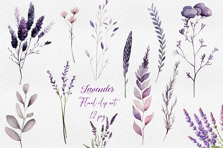 Lavender clipart, flowers clipart