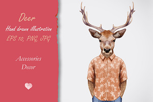 Deer // Summer