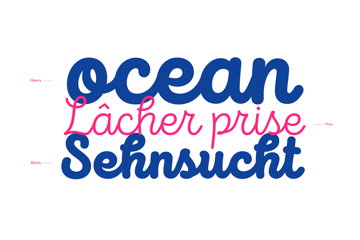 Intro Script, a Script Font by Fontfabric (Photo 6 of 12)