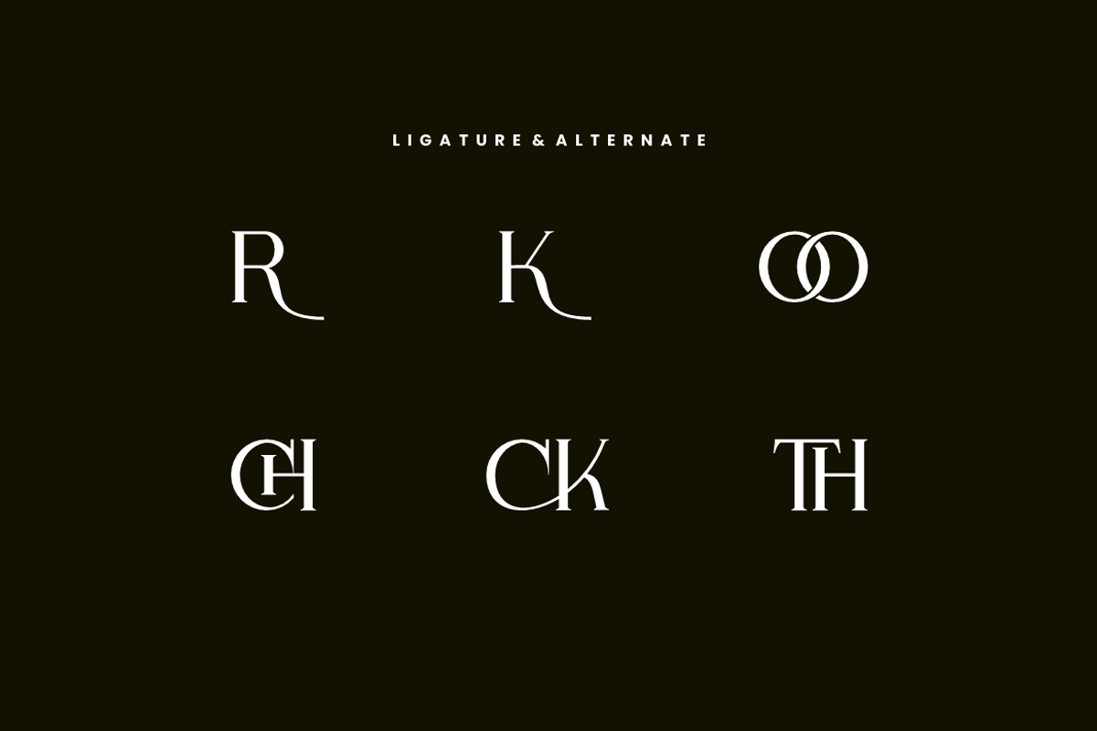 Mekchon - Aesthetic Serif Font, a Serif Font by Iqsiart Studio (Photo 7 of 8)