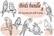Birds bundle, an Animal Illustration by IPVector (Thumbnail 1 of 6)