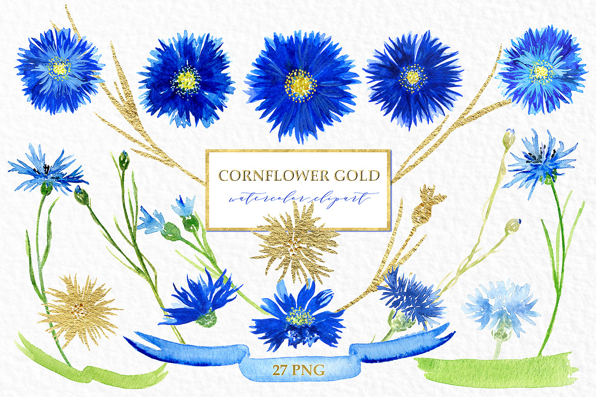 -98% Off Graphic Bundle 70 sets in 1, an Animal Illustration by LABFcreations (Photo 12 of 40)