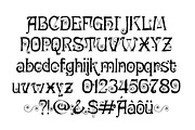 Salyma romantic typeface, a Serif Font by Minhocossauro Emporium (Thumbnail 7 of 9)