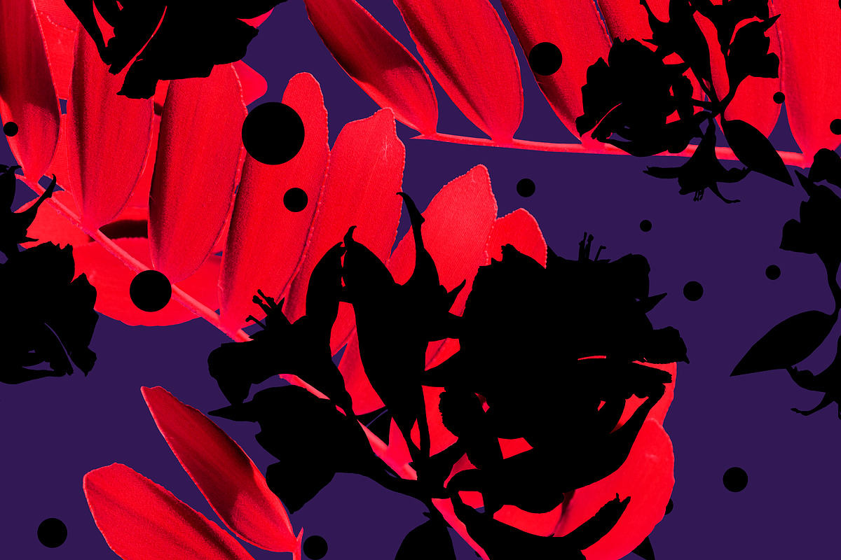 Seamless pattern with dark flowers, a Pattern Graphic by kate.vess