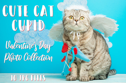 Cute cat Cupid