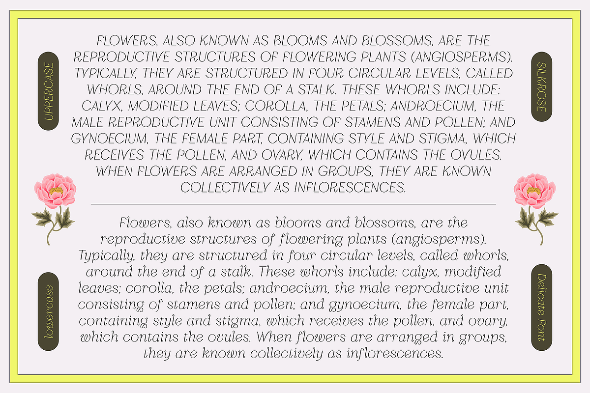 Silkrose - Delicate Display Font, a Sans Serif Font by Artflorara (Photo 7 of 14)